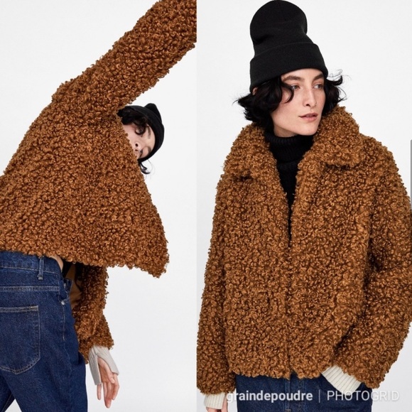 Zara Blogger Brown Teddy Curly Mongolian Faux Fur Coat XS - Picture 2 of 5